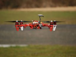 Les Dimanches Matins