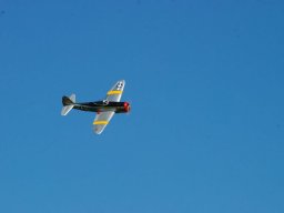 Les Dimanches Matins