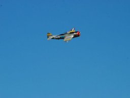 Les Dimanches Matins