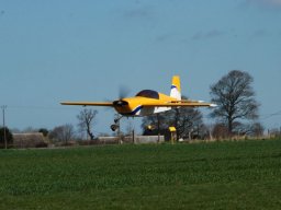 Les Dimanches Matins