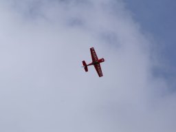 Les Dimanches Matins