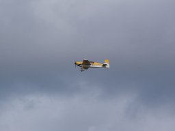 Les Dimanches Matins