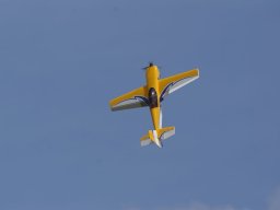 Les Dimanches Matins