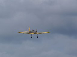 Les Dimanches Matins