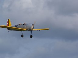 Les Dimanches Matins