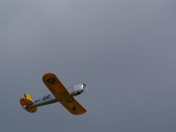 Les Dimanches Matins