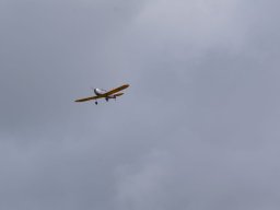 Les Dimanches Matins