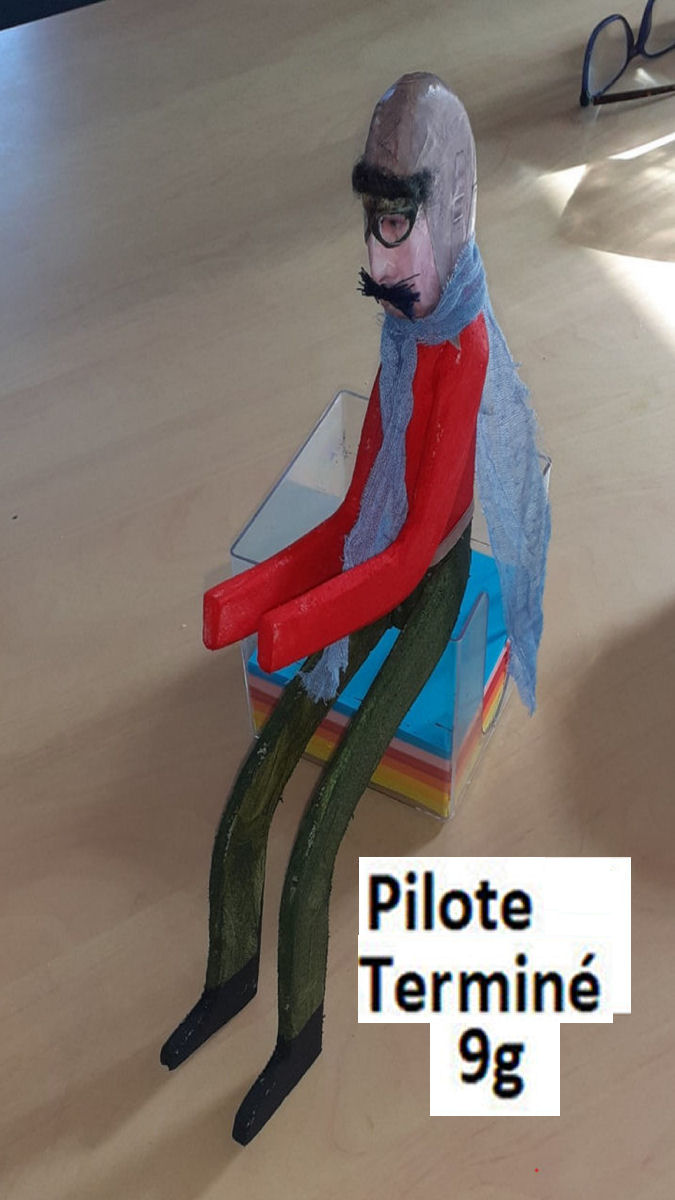 Pilote de 9g  terminé 