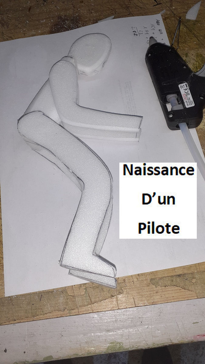 naissance du pilote